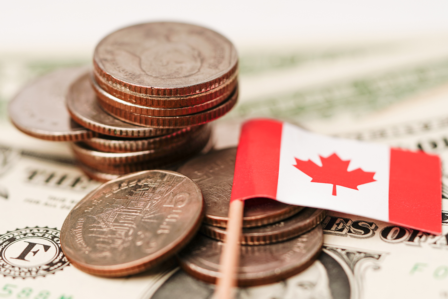 Why Choose Licensed Immigration Consultants To Help You With Your Immigration Work-3